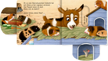 Coppenrath - Komm heraus, kleine Maus! - Bist du im Schreichelzoo?