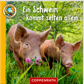 Coppenrath - Lino-Bücher Box Nr. 82 - "Linos Bauernhof-Bildergeschichten", sort. (60)