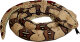 Die Spiegelburg - Nature Zoom "Wild" - Boa constrictor