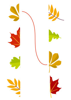 Coppenrath - Mein kleiner Kindergartenblock: Rätsel ohne Text - Kleiner Garten (5)