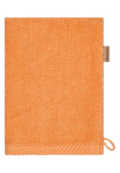 Sterntaler - Waschlappen 2er-Pack Bär Bo (2)