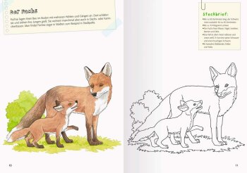 Ravensburger - Mein großes Natur-Malbuch