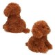 Depesche - TOPModel Plüsch - Hund Teddy braun, 30 cm