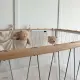 Charlie Crane - KIMI Babybett mit Matratze (60 x 120 cm) Buche grün