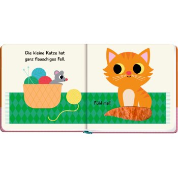 Coppenrath - Mein Fühlbuch: Kleine Katze (Fühlen & begreifen)