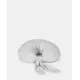 Dear April - Nami Stillkissen 70 cm Dew stripe