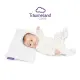 Träumeland - CARE Babykopfkissen Wolke 0+ (25 x 40 x 3 cm)