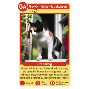 Ravensburger - Tier-Quartette, Katzen (10)