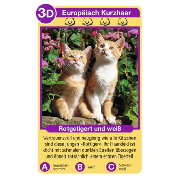 Ravensburger - Tier-Quartette, Katzen