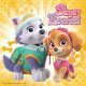 Ravensburger - Bezaubernde Hundemädchen (Paw Patrol) PUZZLE (3 x 49 TEILE) (A)